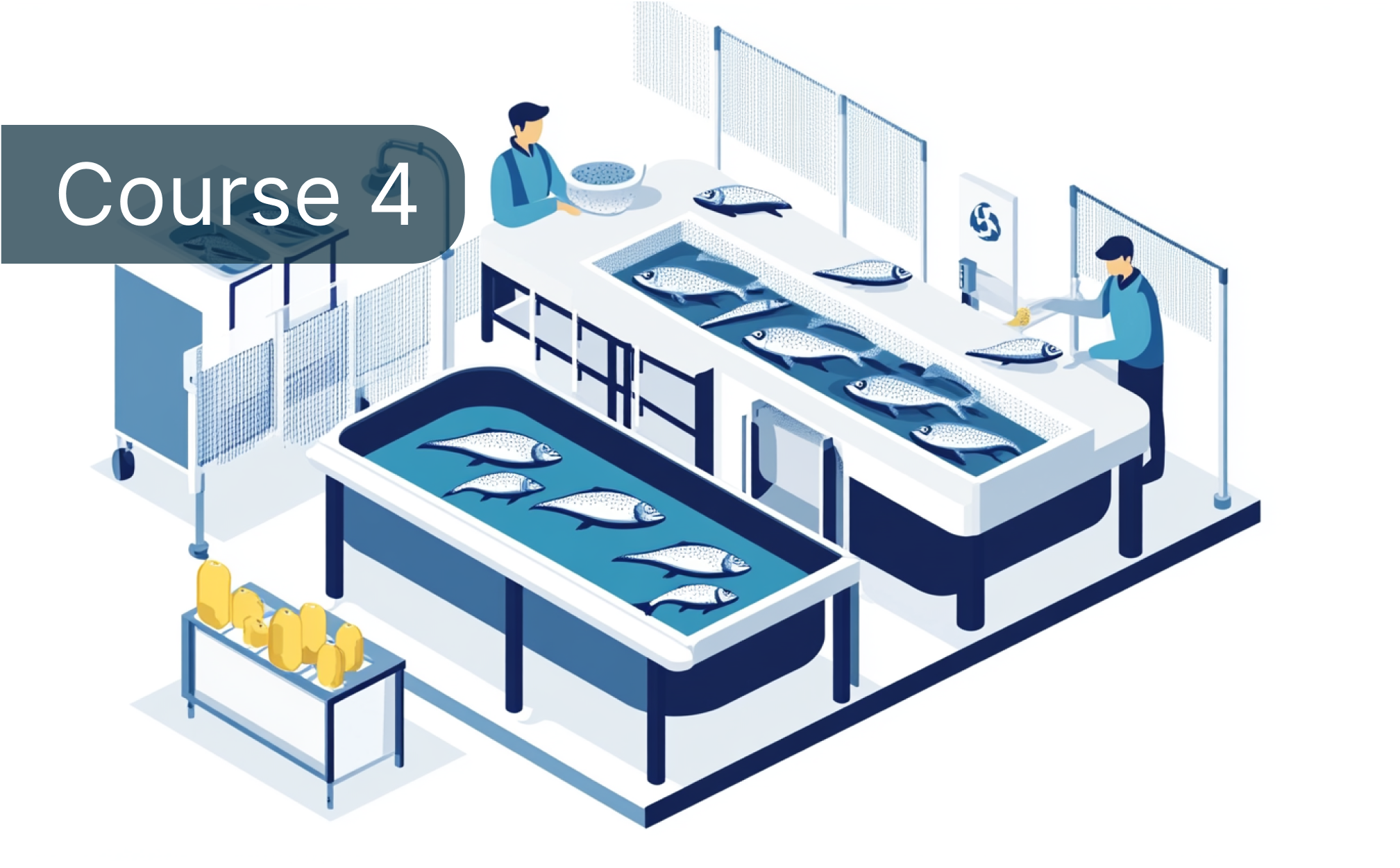 Fish fermentation: traditional & modern techniques for safe & sustainable production